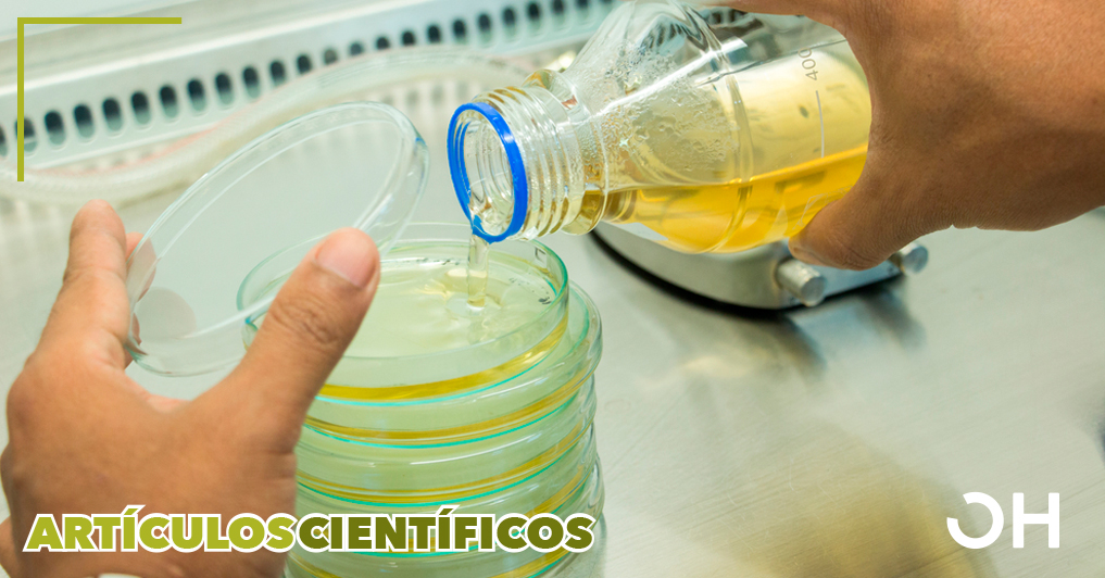 Investigación físico-química y eficacia antimicrobiana de los aceites ozonizados: el estudio de caso de los aceites refinados comerciales de oliva y girasol ozonizados