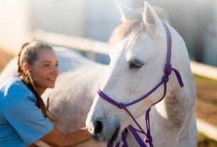 para q sirve la ozonoterapia en caballos