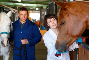 veterinaria checando los caballos en las caballerizas