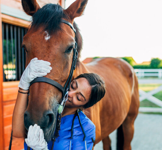 Mujer acariciando caballo