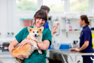 Dra. veterinaria cargando a un perro