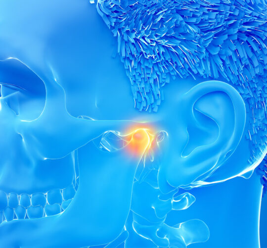 radiografía 3D de la mandibula