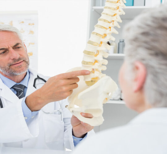 Doctor explicando a paciente con un modelo 3d de espina dorsal