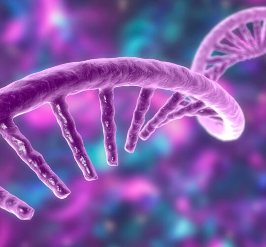 Modelo molecular del ácido ribonucleico mensajero (ARNm). Ilustración 3D.