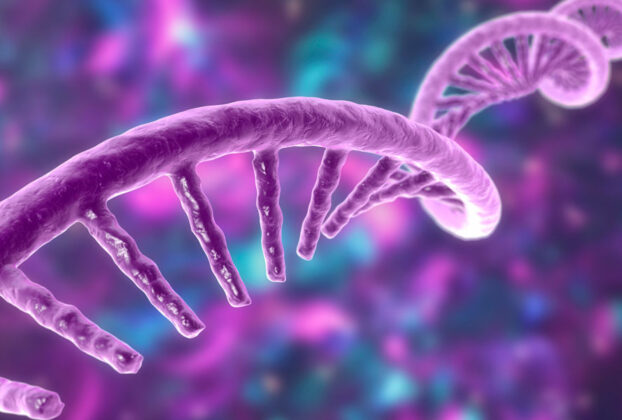 Modelo molecular del ácido ribonucleico mensajero (ARNm). Ilustración 3D.