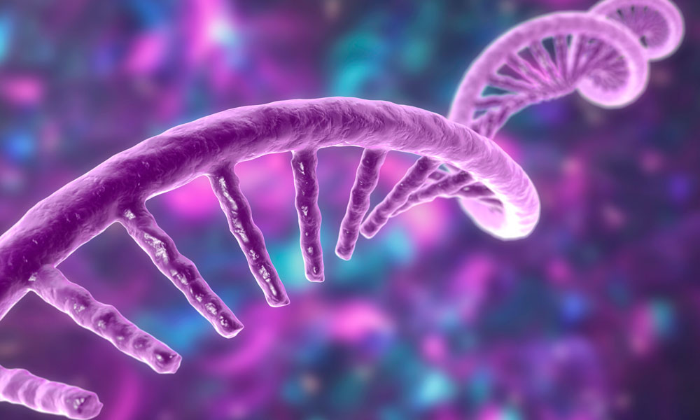 Modelo molecular del ácido ribonucleico mensajero (ARNm). Ilustración 3D.