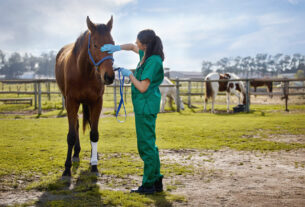 imagen de veterinaria acariciando a un caballo en el coral
