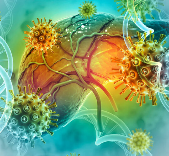ilustración 3d de higado infectado con hepatitis c