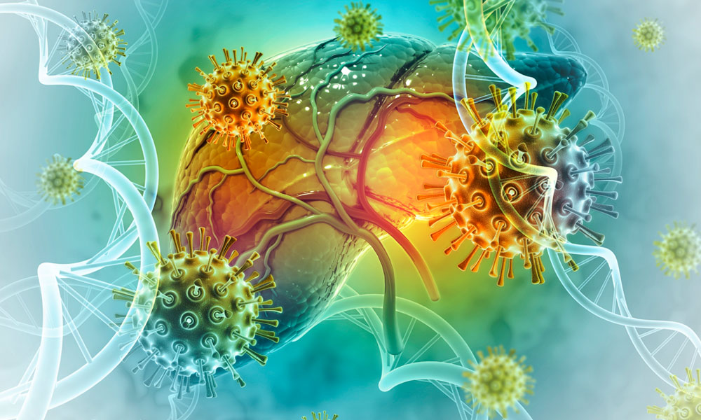 ilustración 3d de higado infectado con hepatitis c