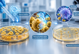 Infografía del ozono contra bacterias