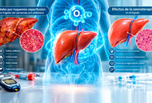 imagen 3d comparativa del higado ,enfermo y sano